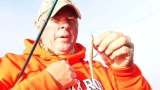 XTV- Smallmouth bass love the slow fall of the Z-Too