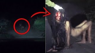 Scary Videos of Ghost sightings and Scary Things caught on camera