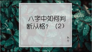 八字中如何判断从格2