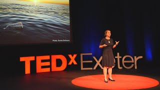 Plastic pollution: What we saw when we rowed an ocean | Kate Salmon | TEDxExeter