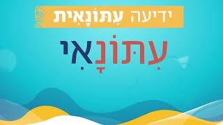 לשון לתיכון – צורן גזירה וצורן נטייה