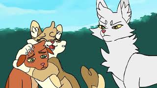 Funny Warrior Cats Memes Compilation #2