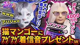 猫マンゴーがｱｹﾞｱｹﾞ着信音ww救急隊ギャル美のプレゼントに大爆笑【#ストグラ #切り抜き #ぎゃるみ  きゃばみざわ☆ぎゃるみ↑/ギャル美/GTAV/GTA5/ストリーマーグラセフ/selly】