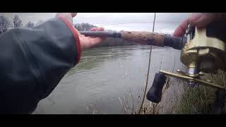 HUGE Steelhead | High Muddy Water Plunking | 2-25-2021