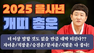 🌟2025 을사년 개띠 총 운세🌟ㅣ더 이상 말할 것도 없을 만큼 대박 터진다?? 자녀운, 직장운, 승진운, 문서운, 시험운 도대체 얼마나 좋길래? 😎 [황해도이북만신 신도령]