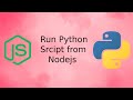 Run Python Script from NodeJS  using child process spawn() method Rest api