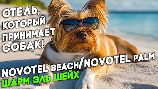 Novotel Beach 5* / Novotel Palm 5*  Египет Шарм эль Шейх Отель, который принимает с животными