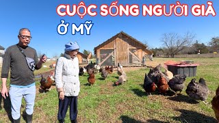 Cụ Bà 75 Tuổi Bỏ Phố Về Quê Trồng Trọt Chăn Nuôi Như Ở Việt Nam