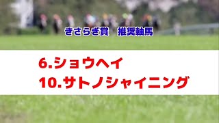 きさらぎ賞2025の推奨軸馬【最終結論】