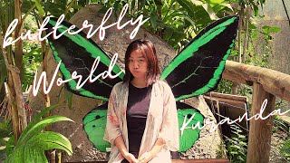 Cairns Day 3: Butterfly World | Australia Travel Vlog