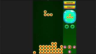 Fruits Tetris - Cross Platform Java Game Project Source Code