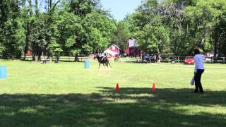 SOLI_Smithtown_Historical_Farm_Fest_6_8_2014 MVI 5133