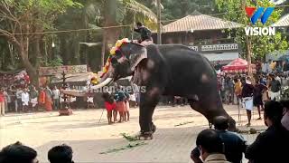 ചങ്ങരംകുളം മുക്കുത്തല കണ്ണേങ്കാവ് ക്ഷേത്രത്തിൽ ആനയിടഞ്ഞ ദൃശ്യങ്ങൾ