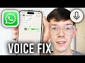 How To Fix WhatsApp Voice Message Problem - Step By Step