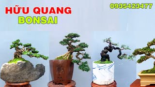 Giới thiệu dàn Bonsai mini mới đang giao lưu tháng 10 vườn Hữu Quang (Bình Định)