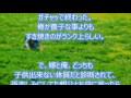 【修羅場】 戸籍謄本取った時初めて知った。→俺が養子な事よりもすき焼きのがランク上らしい♪