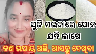 How To Remove Bugs From Flour{ମଇଦାରୁ ପୋକ କେମିତି ବାହାର କରିବା }@monisatipstricks