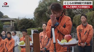 【速報】くじらの博物館で供養祭 和歌山・太地町