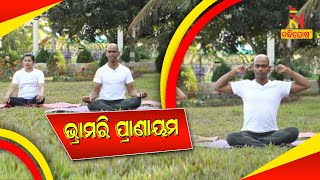 Bhramari Pranayama | Steps | Benefits | Yogic Fitness | NandighoshaTV