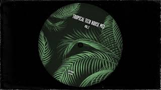 tropical tech house mix vol.2