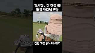 태국캐디 분께 감사하다고 인사하면 나오는 반응. #shorts #태국골프