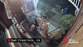 Attempted package and mail thefts stopped by real-time home security | Deep Sentinel Interventions