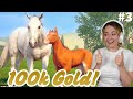 GETTING 100K GOLD! + New Foal - Rival Stars Rags to Riches | Pinehaven