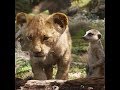 The Lion King | Timon & Pumbaa | In Cinemas July 19