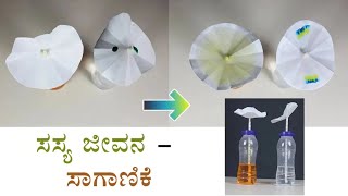 Plant Life - Transportation | ಸಸ್ಯ ಜೀವನ - ಸಾಗಾಣಿಕೆ | ThinkTac