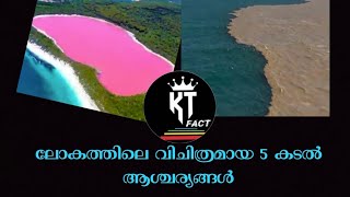 ലോകത്തിലെ വിചിത്രമായ 5 കടൽ ആശ്ചര്യങ്ങൾ #KTFact