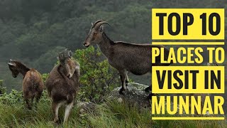 Top 10 places to visit in Munnar | മുന്നാറിൽ സന്ദർശിക്കേണ്ട 10 സ്ഥലങ്ങൾ