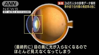 【独自】熱中症で白内障の発症率4倍に　260万人分の診察データ解析(2023年7月28日)