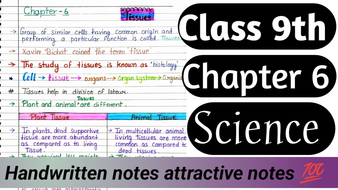 Class 9th Science Chapter 6 Tissue Handwritten Notes Youtube
