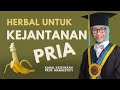 Herbal Untuk Kejantanan Pria