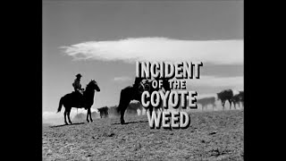 CUERO CRUDO  * INCIDENTE EN HIERBA COYOTE *1959 *