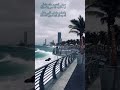 شيلة فدوة له تصميم