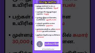 ஐந்து கண்கள் உடைய பறக்கும் உயிரினம்? பொது அறிவு~5 #shorts #shortsfeed #tamilgk #gktamil #pothuarivu