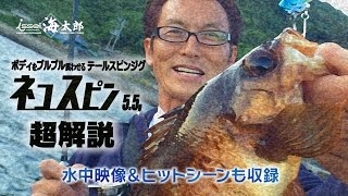 村上晴彦が海太郎-ネコスピン攻めを実釣解説-ヒットシーンも収録