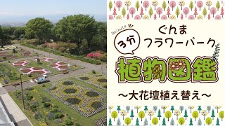 #4 ぐんまフラワーパーク植物図鑑【大花壇植え替え編】