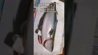 冷蔵庫に入らない大きい魚の熟成方法！ How to make aged fish for big fish at home.