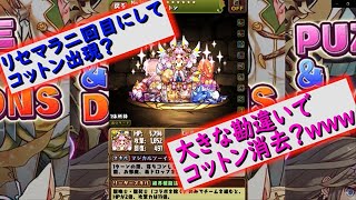 【パズドラ】　GWスーパーゴッドフェス　リセマラ二回目　コットン出現⁉大きな勘違いでコットン消去？ｗｗ