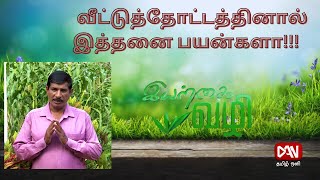 இயற்கை வழி  | 09.09.2024 |  வீட்டுத்தோட்டத்தினால் இத்தனை பயன்களா!!!