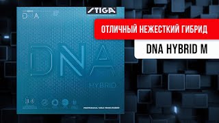 ЕЩЁ один отличный DNA: Hybrid M