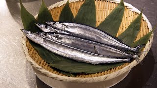 30年後は海のご馳走が無い？～サンマにあんこうなどの魚を食べて海を考える「海のごちそうウィーク」～｜ソーシャルイノベーションニュース