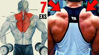 TRAP WORKOUT -MASSIVE / 7 best DUMBELLS exericises for bigger traps