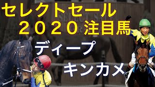 【競馬】セレクトセール2020 注目馬情報その②〜ディープ・キンカメ編〜【億越え連発？】