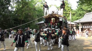 令和元年 太子町山田の夏祭り 科長神社宮出し 大道