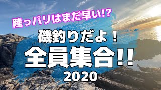 堤防がダメなら磯に行こう！地磯でアイナメ釣り【岩手三陸釣り紀行】