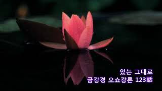 금강경 오쇼강론 123 -  있는 그대로 //  디얀 영상시