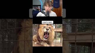 Lion Vs Tiger Roar Shorts